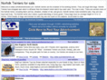 norfolkterrierforsale.com