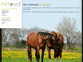 pict-horse.com
