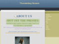 thunderbayboxers.com