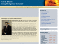 toddemitchell.com
