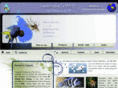 tsuyoshitrading.com