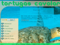 tortugas-cayolargo.com