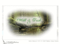 willandtrish.com