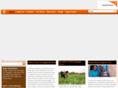 wvifood.org
