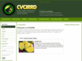 cvcirrd.org