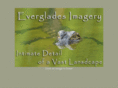 evergladesimagery.com