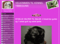 tibbegunn.dk