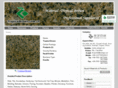 tropicalbrown.com.cn