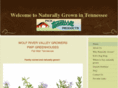 naturallygrownintn.com
