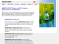 amberchrom.com