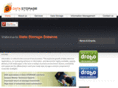 datastoragescience.com