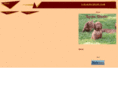 lorokavizslas.com