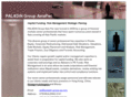 paladin-group-ap.com