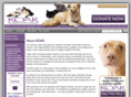 roarprograms.com