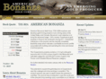 americanbonanza.com