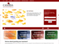 canadasmallbusinessmarketing.com