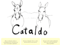 cataldomusic.com
