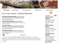 howtocleancarpets.org