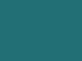 ray-corporation.com