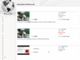 regslittleeltonjohnsite.com