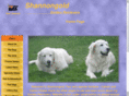 shannongold.net