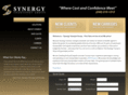 synergytransportgroup.com