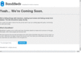 bandifieds.com