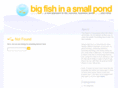 bigfishinasmallpond.com