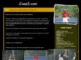 cvee3.com