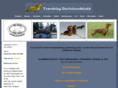 trondelagdachshundklubb.com