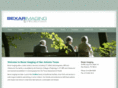 bexarimaging.com