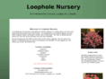 loopholenursery.com