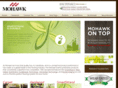 mohawk-recover.com
