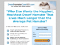 dwarfhamstercare101.com