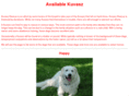 kuvasz-rescue.com