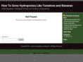 simplyhydroponicsblog.com