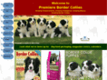 amazingbordercollies.com