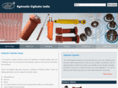 hydrauliccylinderindia.in
