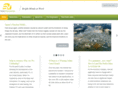 solarvisionaries.com