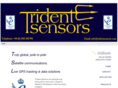 tridentsensors.com