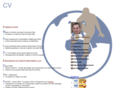 gestion-de-projet.com