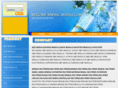 ic-module.com
