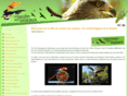 jardin-aux-oiseaux.com