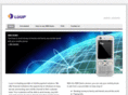 luupdemo.com