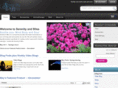 serenityandbliss.com