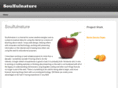 soulfulnature.com