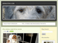 beingstray.com