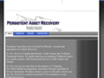 persistentassetrecovery.com