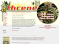 thcene.com