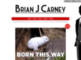 brianjcarney.com